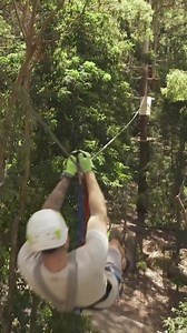 Looking to escape the city and have some family fun in the tree tops?...