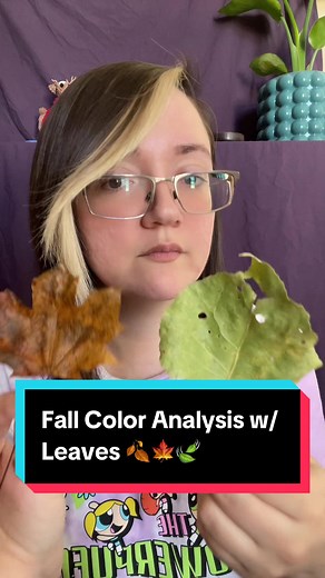 Fall color analysis with leaves 🍂🍁🍃 #asmr #coloranalysis #personalattention