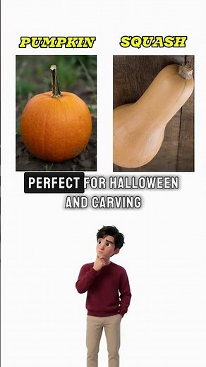 Pumpkin vs Squash: What's the Real Difference?