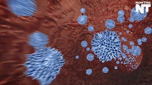 This virus could be the future of cancer treatment | NowThis Earth