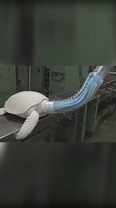 Turtle Toothpaste | DarkLab