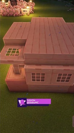 Minecraft House for my Dog 🥺 #shorts