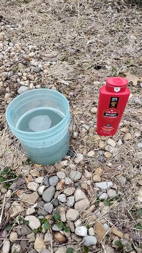 Bird Bath #camping #cleaning #tips #blessed