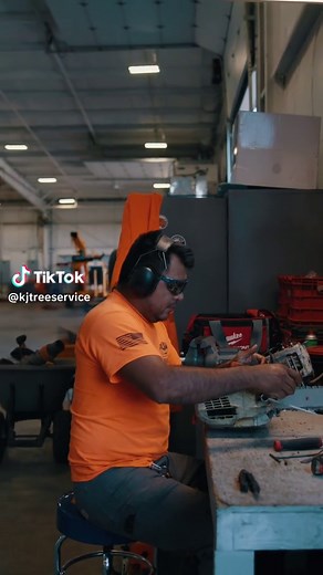 Spring Tree Care Tips for Homeowners