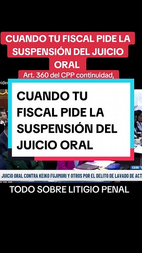 Judicial Oral Proceedings: Inside a Formal Hearing