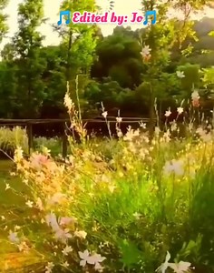 Requested by: Beni Dguzman 🌿EXCUSE ME🌿 (Song Lyrics) By: Junior Edited by: Jo #nocopyrightinfringementintendedmusicbelongstotherightfulowner | Jo Tata Roloos