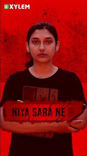 Plus Two Commerce Onam Exam - Economics | Marathon LIVE‼️ | Xylem Plus Two Commerce