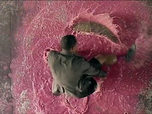 Toshiba: Raspberry Fusion • Ads of the World™ | Part of The Clio Network