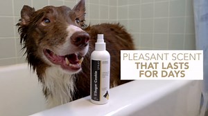 Animal Pharmaceuticals Pet Deodorizing Body Spray - Sweet Sugar Cookie Scent - Mild Long-Lasting Dog Body Spray and Cat Cologne - Formulated for Smelly Dogs and Cats - 8 Fluid Ounces