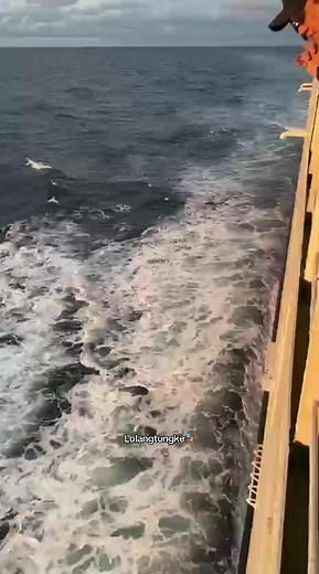 Discover Bugis Aesthetic Stories and TikTok Videos