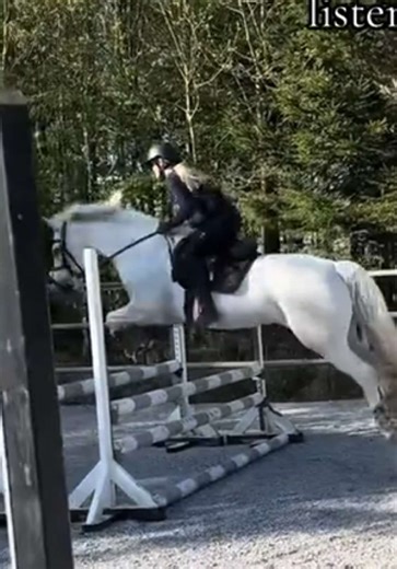 I love her so much ❤️🤭#hearthorse #heartpony #love #myreason #first #pony #jumps #firstride
