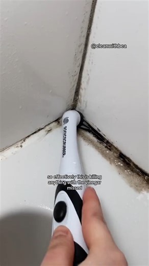 Removing Mould : Stage Two PART TWO #deepclean #mold #hydrogenperoxide #moldinhouse #cleaningtok | Clean With Bea