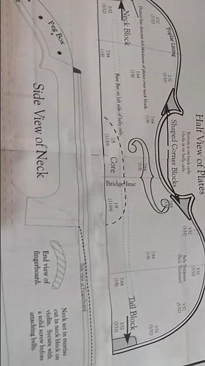 Plan to BUILD your own Violin #luthier #viral #violin