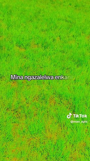 Fusegi Ngempela Manje Song Lyrics Video