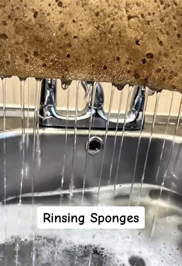 How many sponges did you count? #fyp #cleantok #squeezewithemma #asmr #spongesqueezing