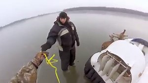 Joy, mirth and deer—a new holiday classic worth sharing. | Dignity Health