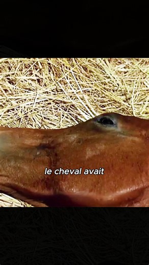 Exploring French Cinema: Part 2 Insights