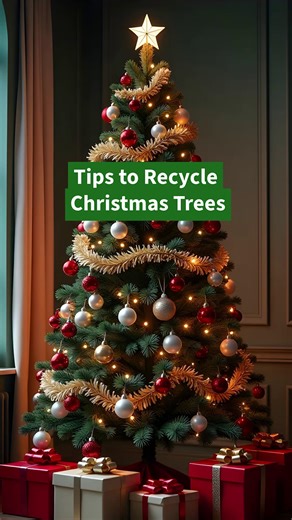 Looking to recycle your holiday tree? Go to iRecycleSmart.com for quick links to local options. | CalRecycle