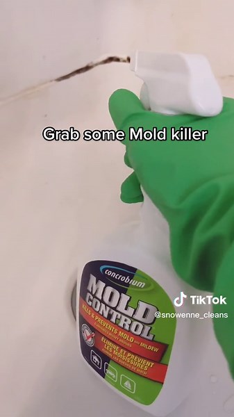 How to Clean Mold in Your Shower and Prevent It