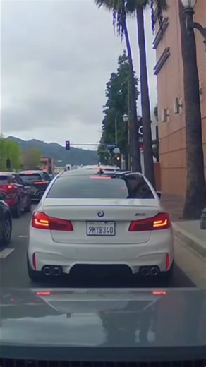 GT | Two 12 inch Kicker Comp R’s definitely shake the room 😂 #bmw #f90 #m5 #famous #food #reel #dog | Instagram