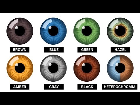Every Hidden Power of Each Eye Color Explained