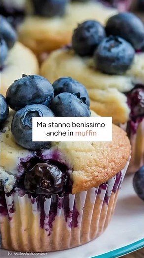 Proprietà dei mirtilli: perché fanno così bene?