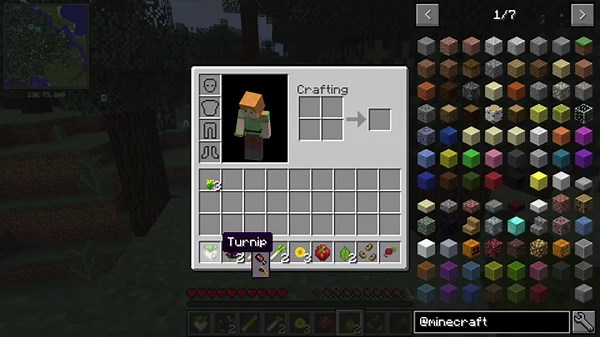 AppleCore Mod | Minecraft: Java 1.8.9 Quick Review