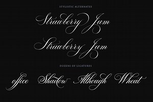 Bodega Script Elegant Wedding Font, a Script Font by vatesdesign
