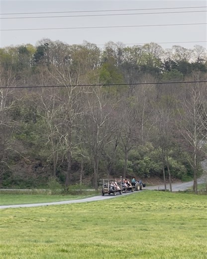 Polyface Farm on Reels