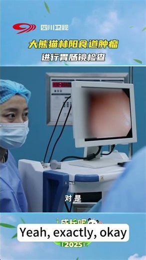 Giant panda Lin Yang getting a GI scope for an esophageal tumor 🐼💉