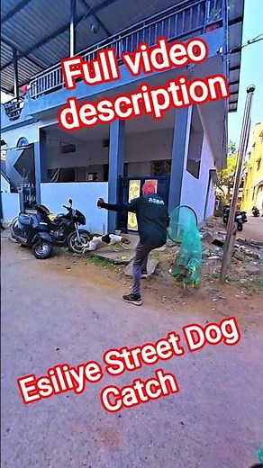 Esiliye Street Dog Catch in Davangere #dog #streetdogrevival #ytshorts #ytviral #rescue