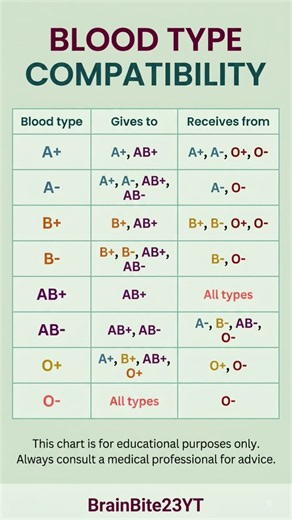 Complete Blood Type Compatibility Chart Explained | Who Can Donate to Whom? #shorts