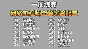 【网络工程师】这绝对是B站最全的网络工程师eNSP实验配置合集HCIA-HCIP+HCIE（附IA + IP + IE实验拓扑+ENSP安装包）