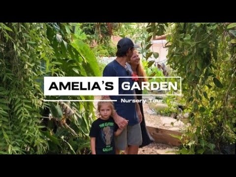 Watch What 1000s of Plants Looks Like on .25 Acres