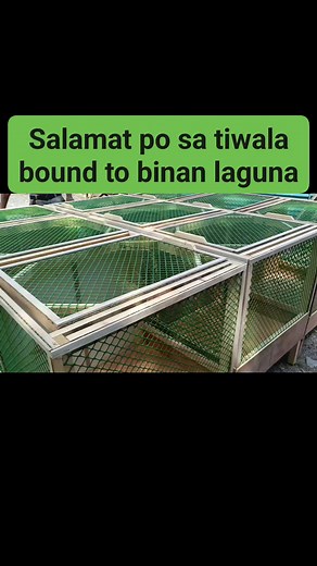 Sold scratch box ❗❗ | Arnold Matias