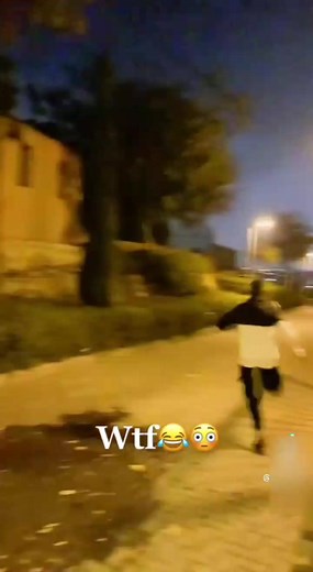 Funny Dog Chase Compilation 🐕😂 #TryNotToLaugh