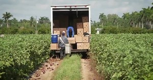 Florida Immigrant Coalition renews calls for transportation equity amid fatal migrant bus crash