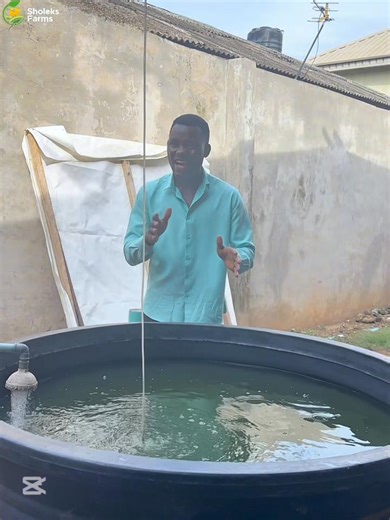 Causes of Fin Rot In Catfish Farming | Sholeks Farms