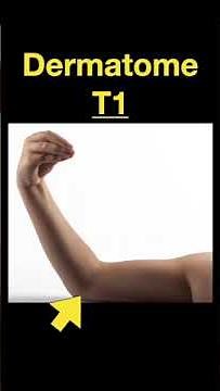Testing Dermatomes, Myotomes and DTRs #shorts (Part A)
