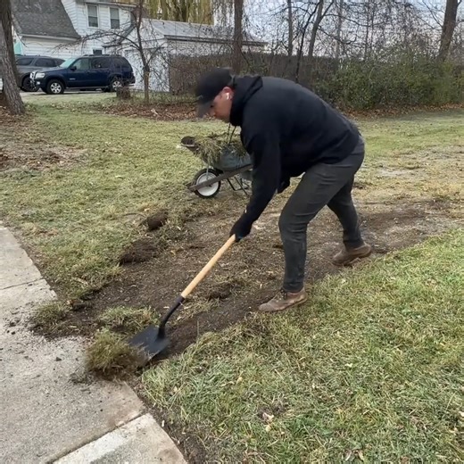 Neighbor TRIED to have me ARRESTED but it backfired on her!!! #fblifestyle #lawn #lawncare #lawntok #lawnmower #lawntiktok #garden #gardening #overgrown #overgrownyard #cleaning #cleantok #clean #asmr #asmrvideo #asmrsounds #transformation #transform #satisfyingvideo #grass #satisfying | Shanon Gleichner