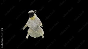 Sheep Dancing, Animal, 3d rendering, Animation Loop, cartoon, included in the end of the clip with Alpha matte.