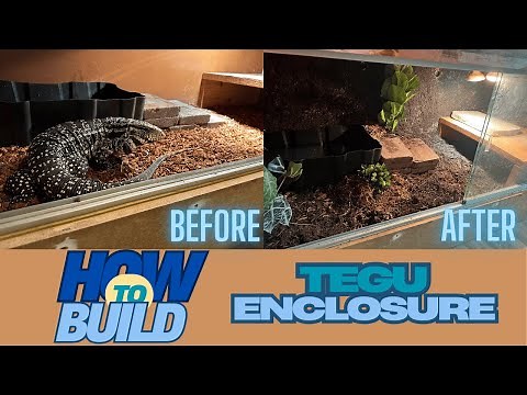 Your Tegu Deserves This! DIY Custom Enclosure Build