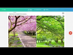 Lumi Educational Tutorial