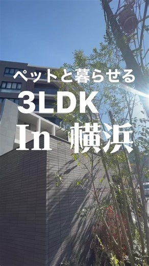 最寄りは横浜駅！ペットと暮らせる3LDKのお部屋をご紹介😊#賃貸 #新生活 #不動産 #お部屋探し #ルームツアー #駅近 #横浜 #新築#物件情報 #ペット #ペットのいる暮らし