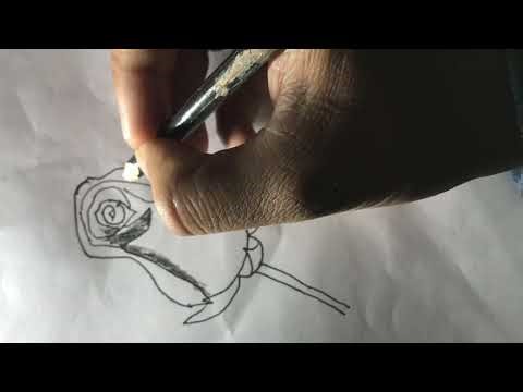 How to draw roj