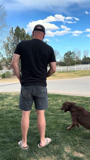 STARTED CHOCOLATE LAB
