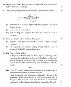 Define reflex action. With the help of a flow chart show the pa... | Filo
