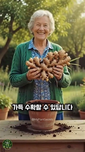 How to Harvest Ginger to Last You All Year Long #PlantCare #Gardening #GrowingGinger