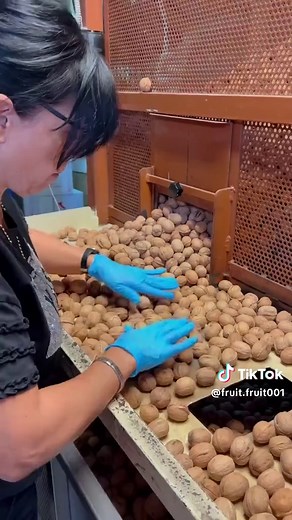 Fruit Fruit on TikTok