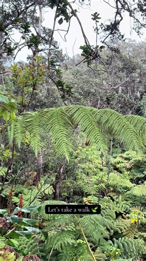Come walk with me…#nature #Hawaii #peaceful #relaxing